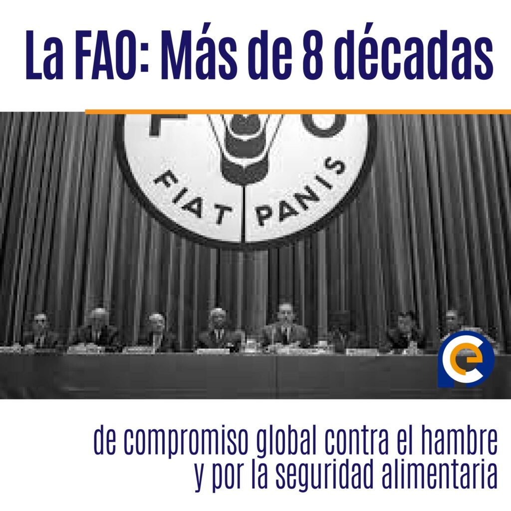 La FAO: Más de 8 décadas de compromiso global contra el hambre y por la seguridad alimentaria