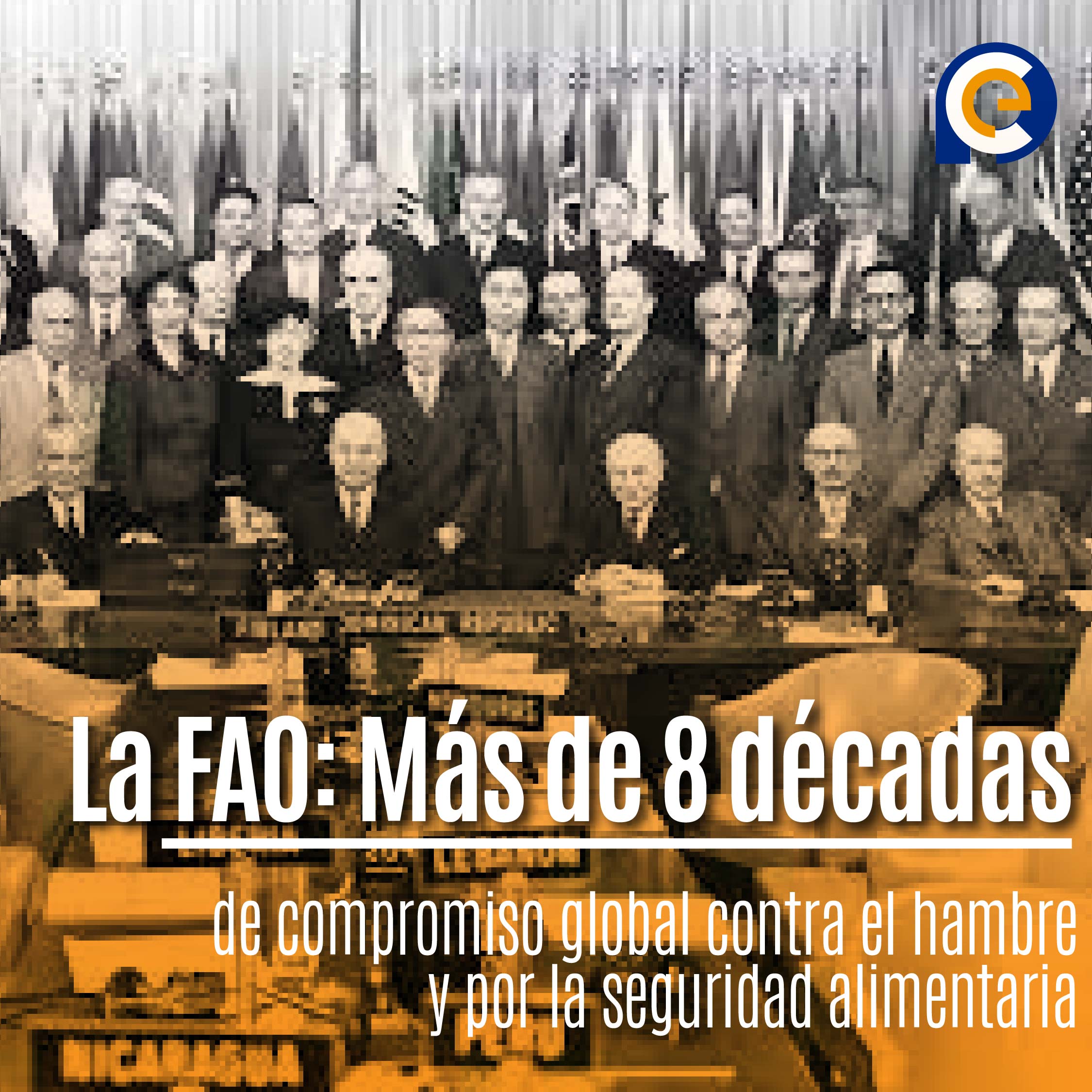 La FAO: Más de 8 décadas de compromiso global contra el hambre y por la seguridad alimentaria