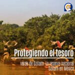 Protegiendo el tesoro verde de Dzilam: La reserva nacional Dzilam en México