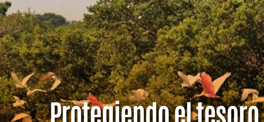 Protegiendo el tesoro verde de Dzilam: La reserva nacional Dzilam en México