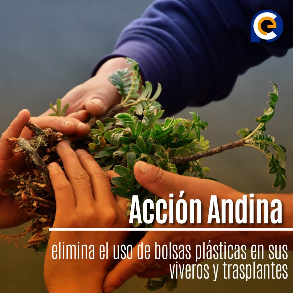 Acción Andina elimina el uso de bolsas plásticas en sus viveros y trasplantes, impulsando la restauración sin residuos en los Andes