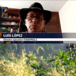 Agrovoltaica: la revolución energética y agrícola en Ecuador