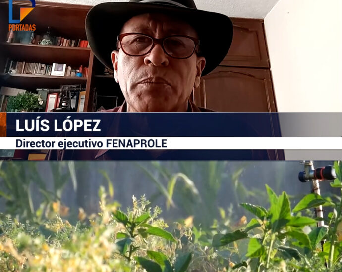 Agrovoltaica: la revolución energética y agrícola en Ecuador