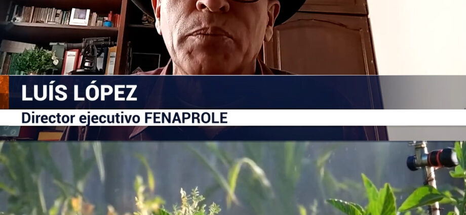 Agrovoltaica: la revolución energética y agrícola en Ecuador