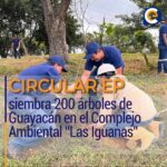 CIRCULAR EP siembra 200 árboles de Guayacán en el Complejo Ambiental “Las Iguanas”
