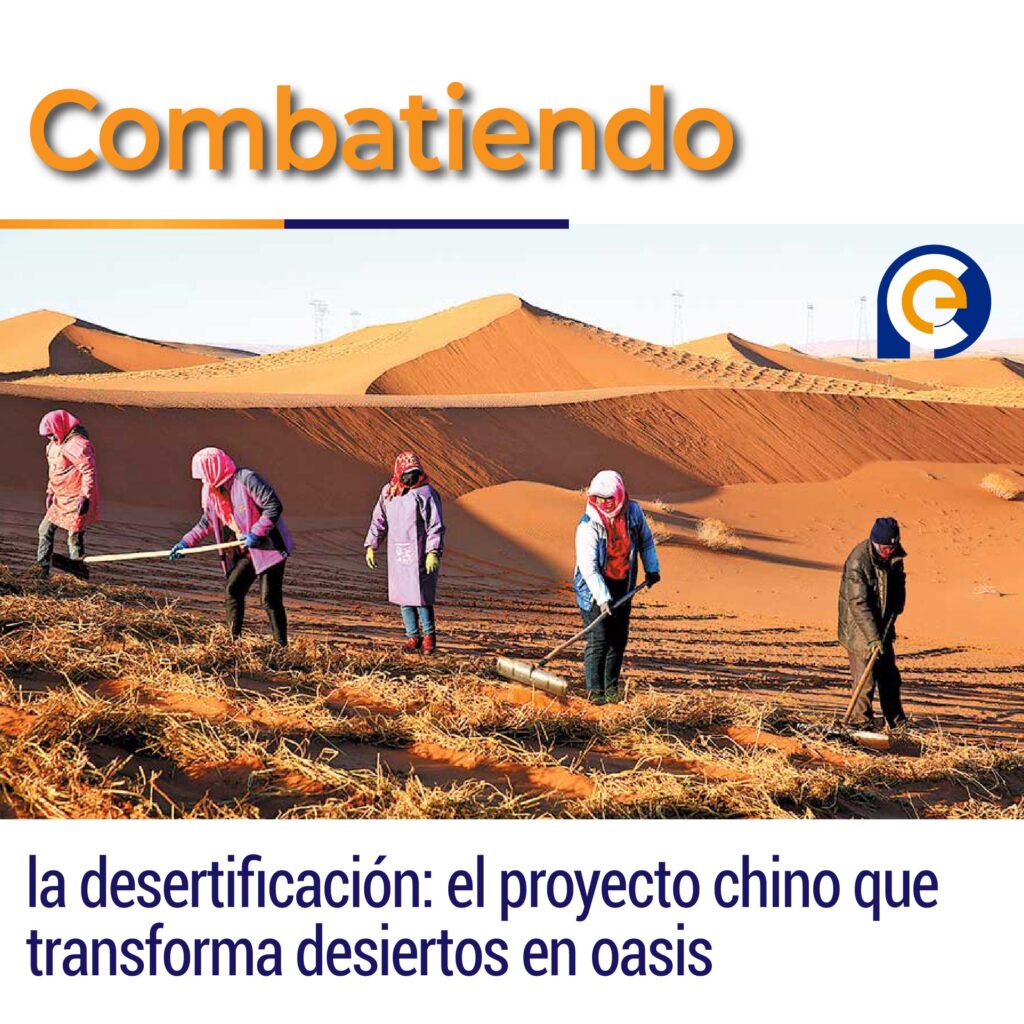Combatiendo la desertificación: el proyecto chino que transforma desiertos en oasis