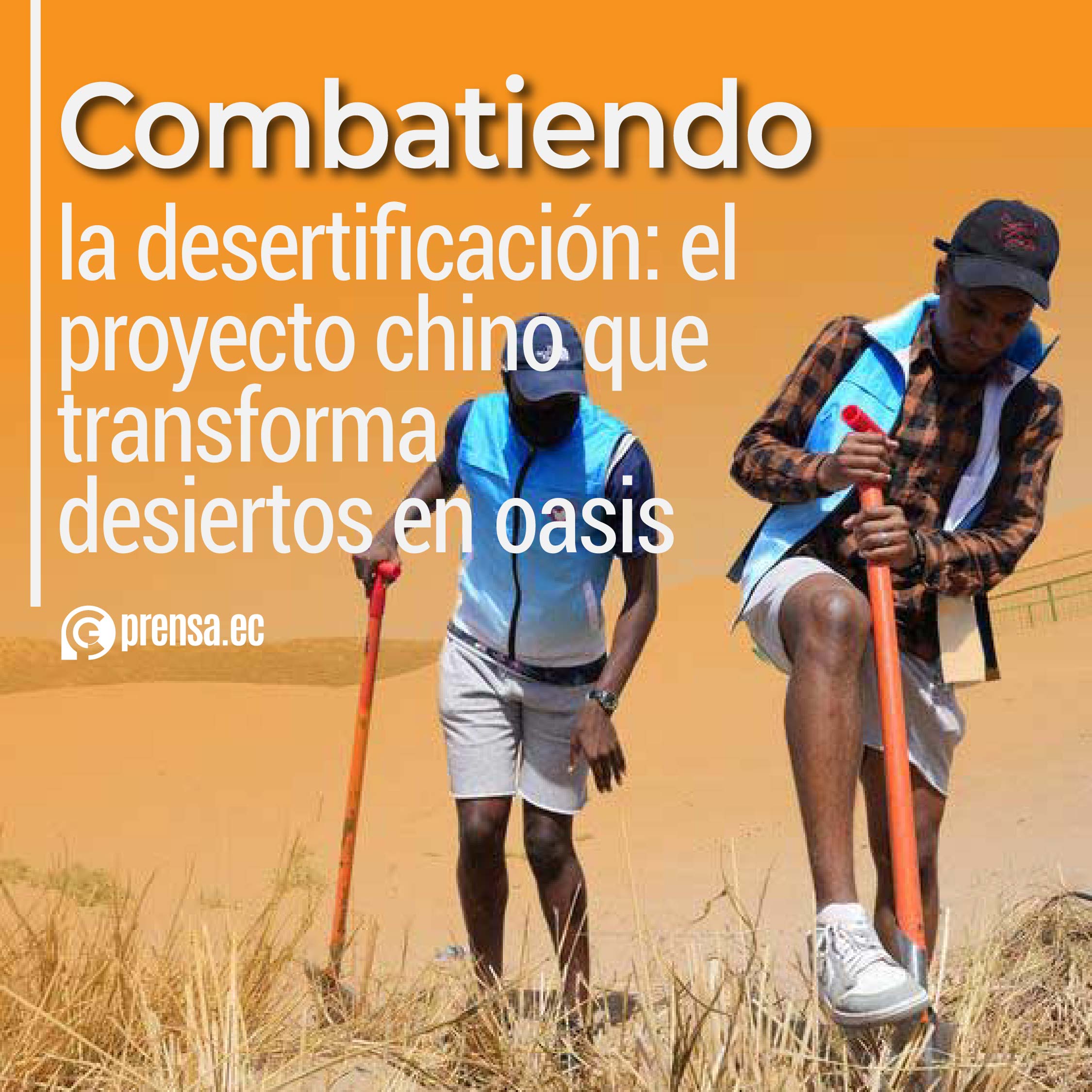 Combatiendo la desertificación: el proyecto chino que transforma desiertos en oasis