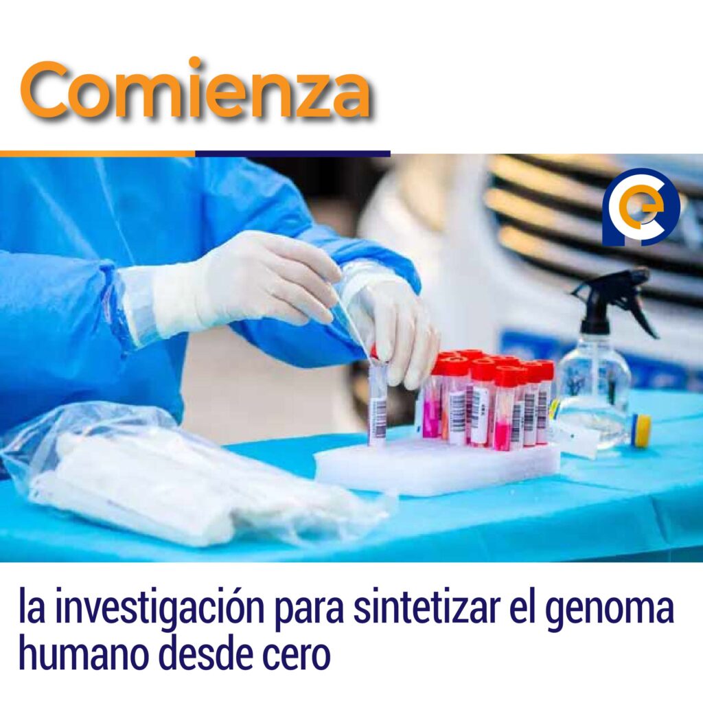 Comienza la investigación para sintetizar el genoma humano desde cero