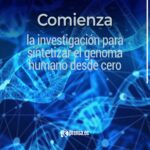 Comienza la investigación para sintetizar el genoma humano desde cero