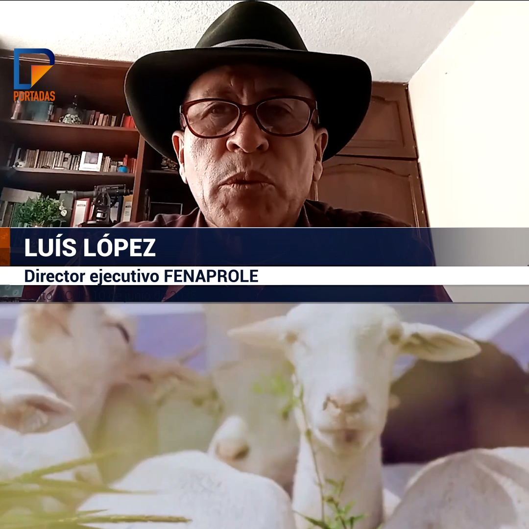 Revolución agrovoltaica en Ecuador