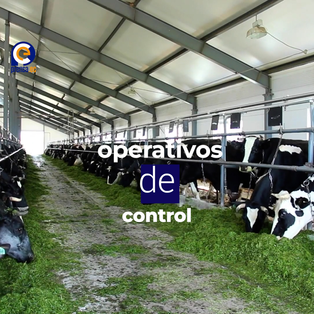 Control del precio de la leche