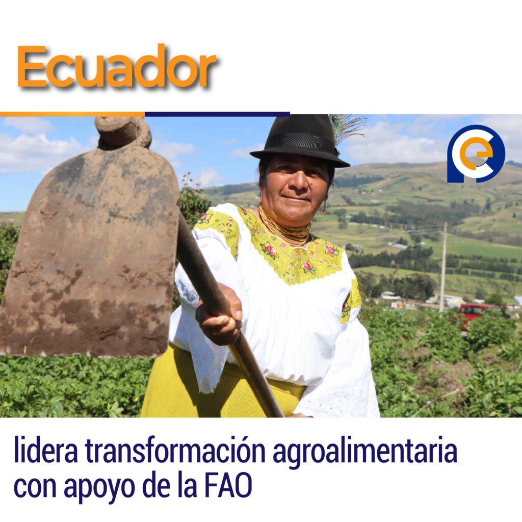 Ecuador lidera transformación agroalimentaria con apoyo de la FAO
