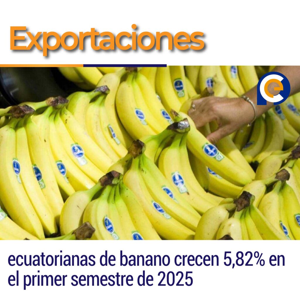 Exportaciones ecuatorianas de banano crecen 5,82% en el primer semestre de 2025