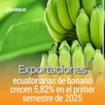 Exportaciones ecuatorianas de banano crecen 5,82% en el primer semestre de 2025