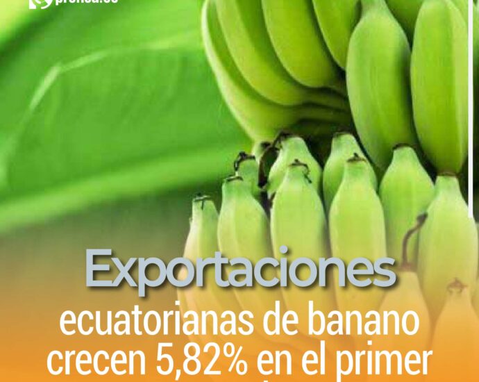 Exportaciones ecuatorianas de banano crecen 5,82% en el primer semestre de 2025