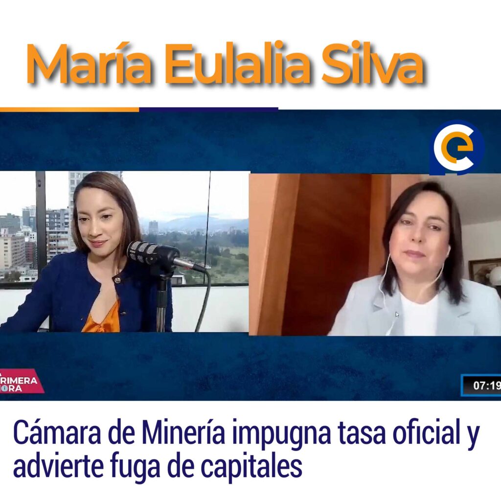 Cámara de Minería impugna tasa oficial y advierte fuga de capitales