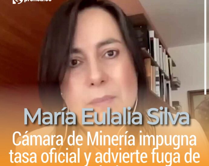 Cámara de Minería impugna tasa oficial y advierte fuga de capitales