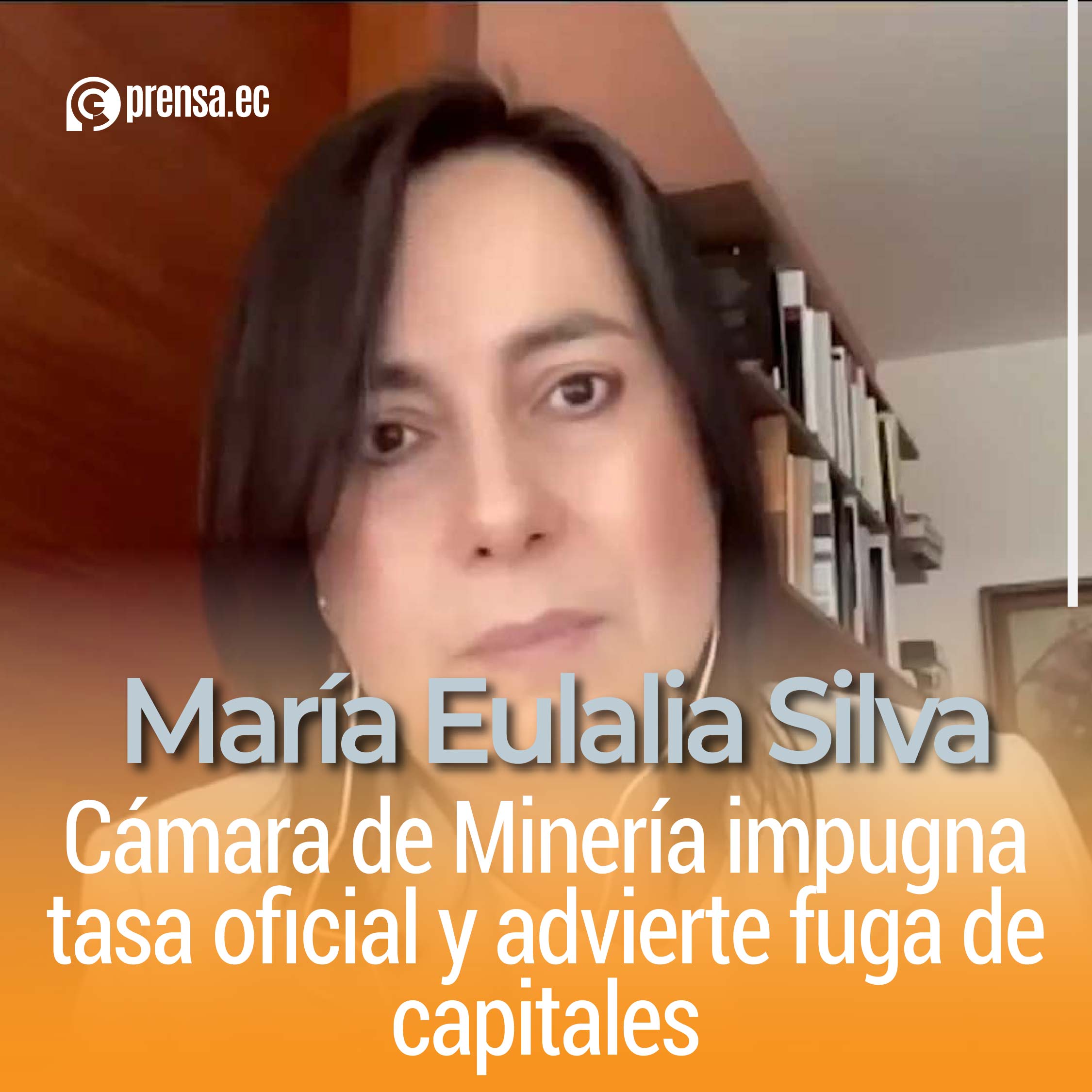 Cámara de Minería impugna tasa oficial y advierte fuga de capitales