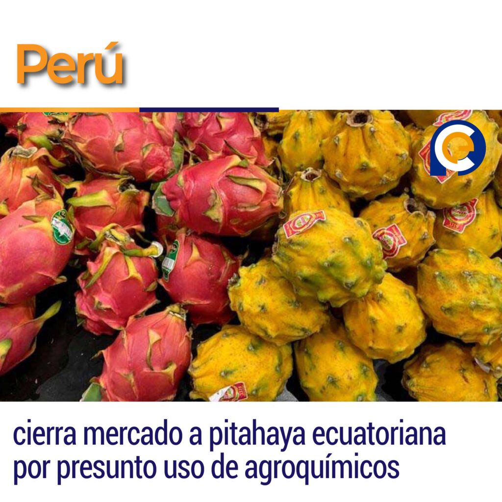 Perú cierra mercado a pitahaya ecuatoriana por presunto uso de agroquímicos