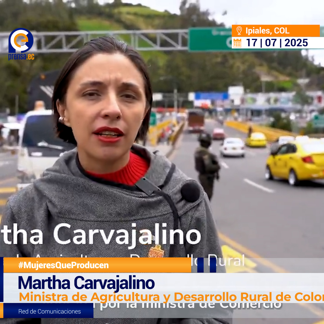 Plan urgente para salvar el arroz colombiano
