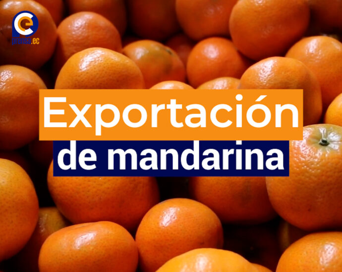 Primera exportación de mandarina ecuatoriana Tango a California