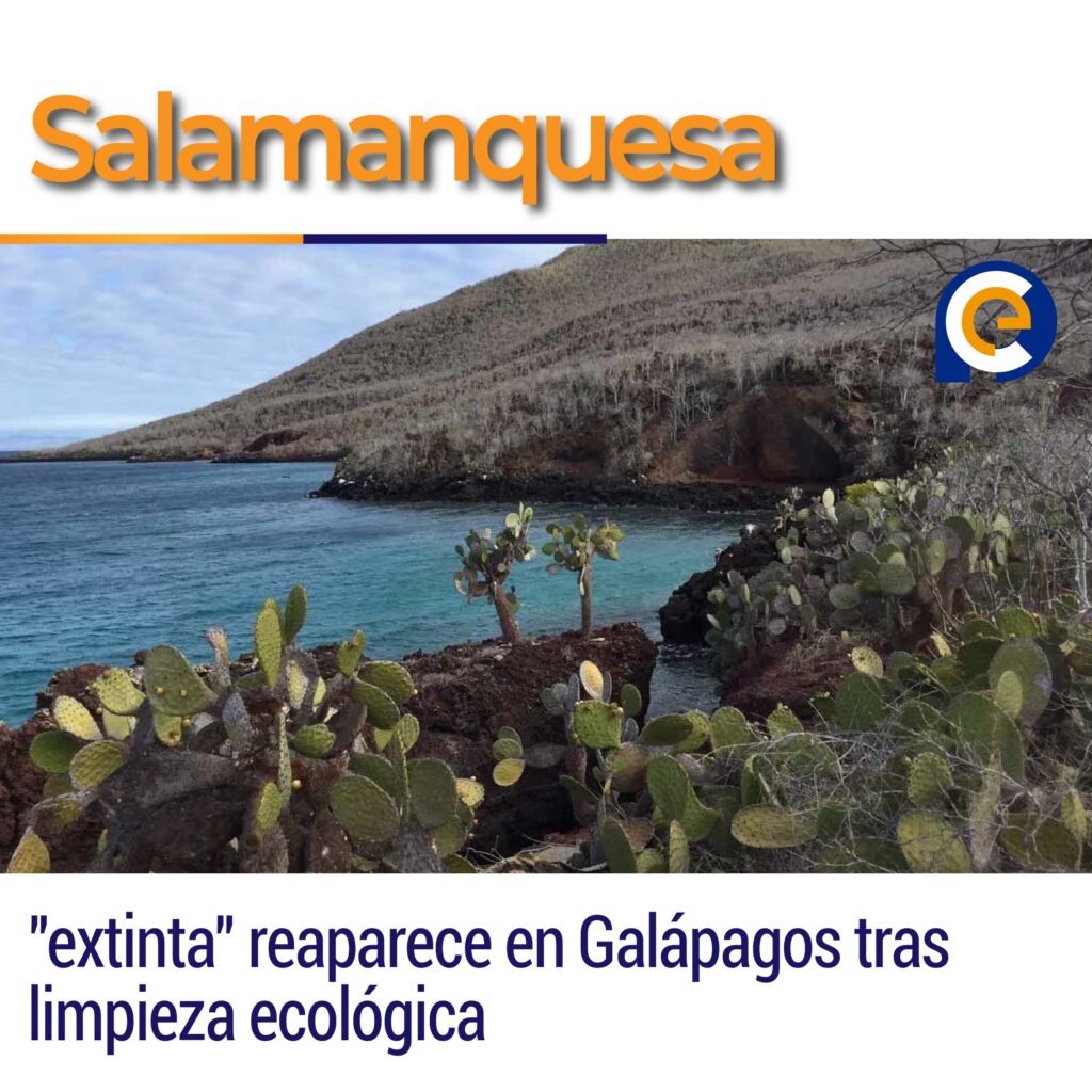 Salamanquesa "extinta" reaparece en Galápagos tras limpieza ecológica