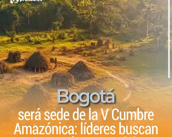 Bogotá será sede de la V Cumbre Amazónica: líderes buscan pactos frente a crisis ambiental