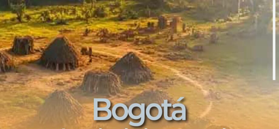 Bogotá será sede de la V Cumbre Amazónica: líderes buscan pactos frente a crisis ambiental