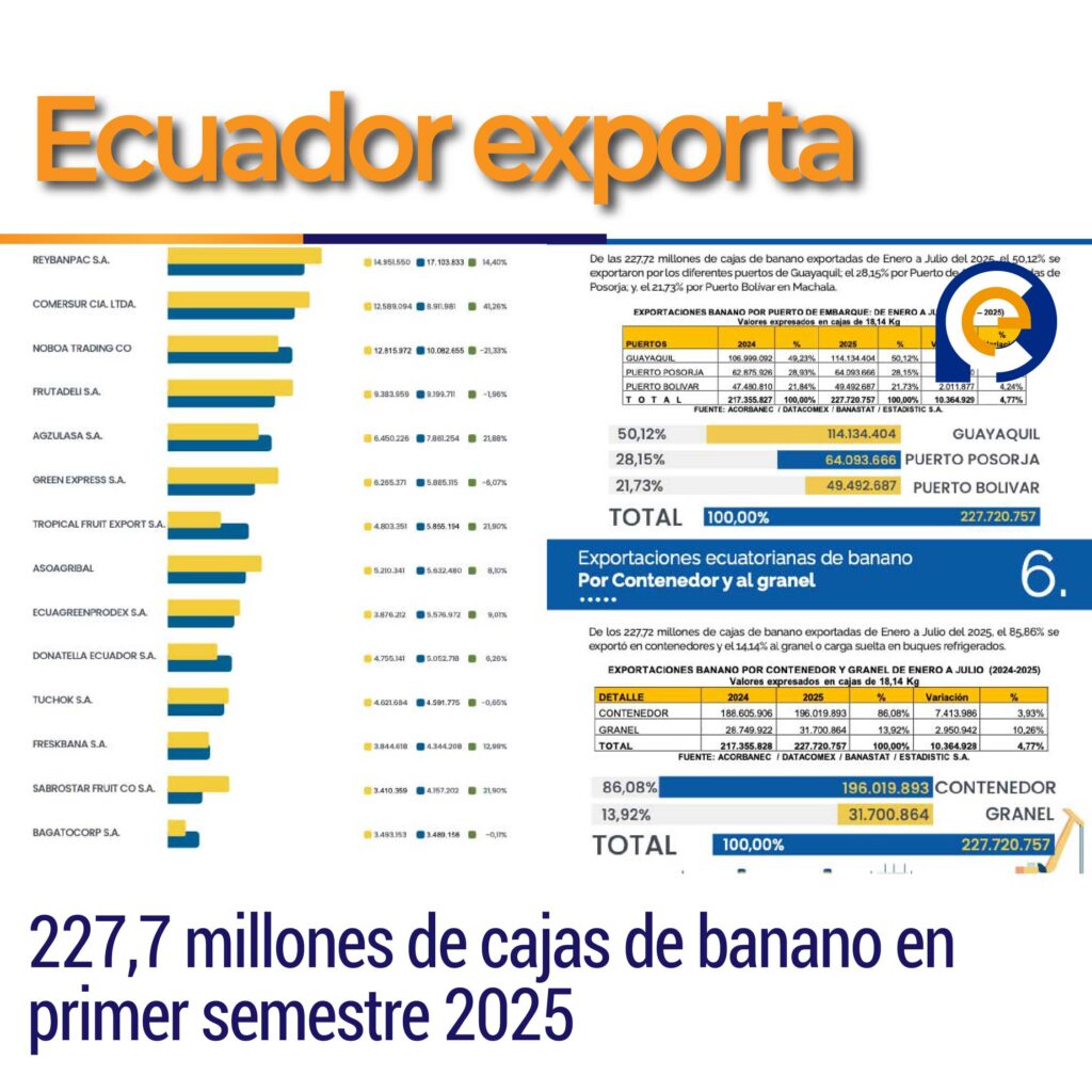 Ecuador exporta 227,7 millones de cajas de banano en primer semestre 2025