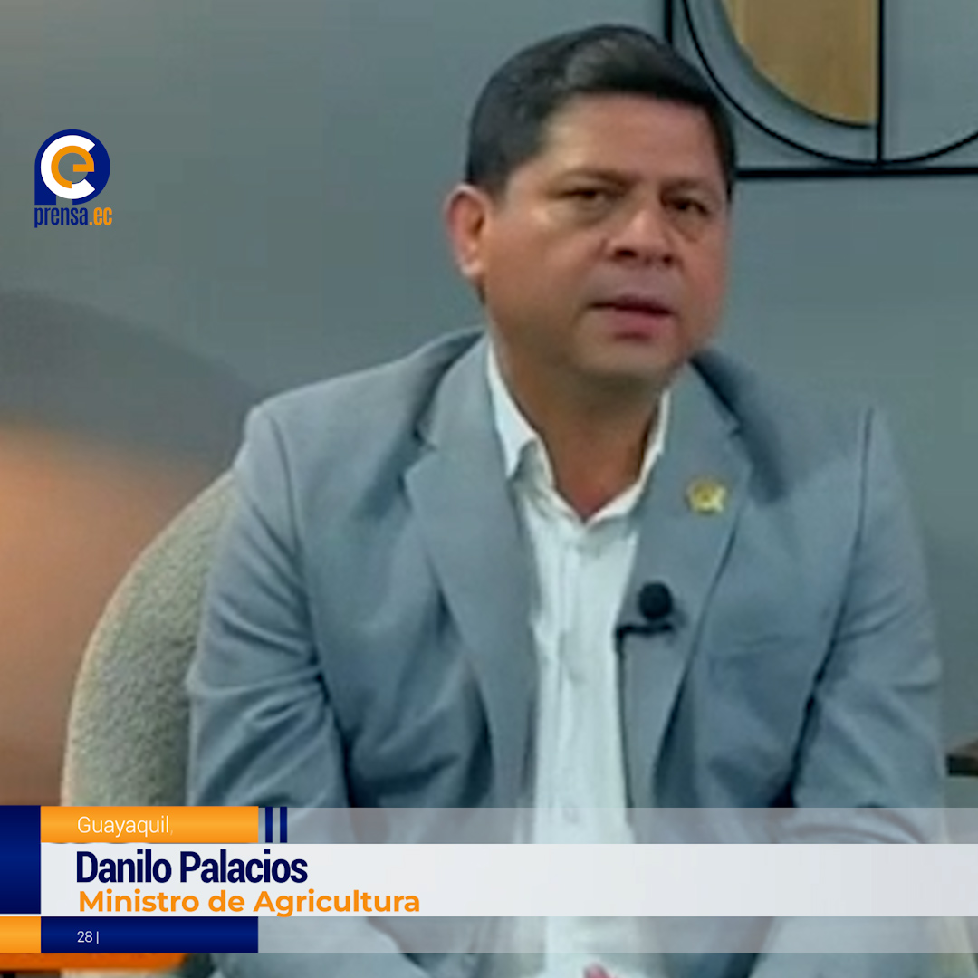 Gobierno ecuatoriano refuerza controles para evitar especulación en arroz