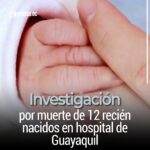 Investigación por muerte de 12 recién nacidos en hospital de Guayaquil