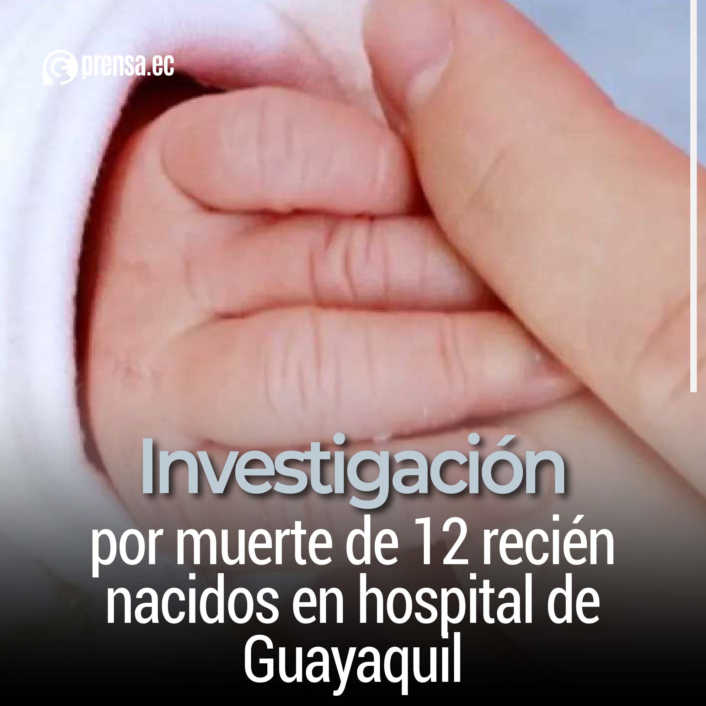 Investigación por muerte de 12 recién nacidos en hospital de Guayaquil