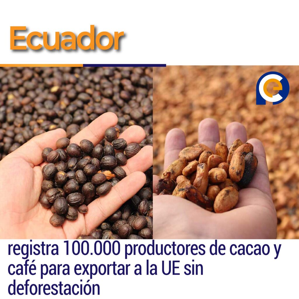 Ecuador registra 100.000 productores de cacao y café para exportar a la UE sin deforestación
