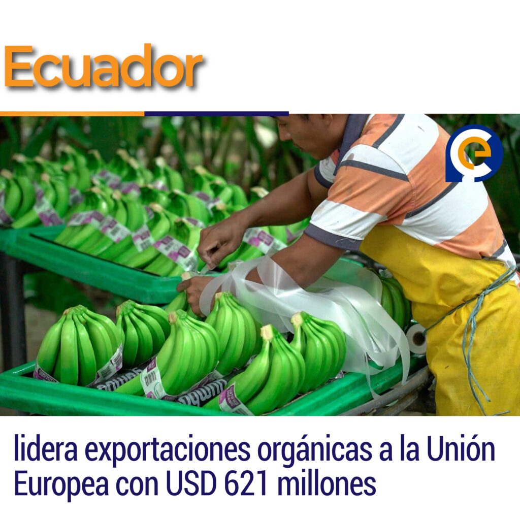 Ecuador lidera exportaciones orgánicas a la Unión Europea con USD 621 millones