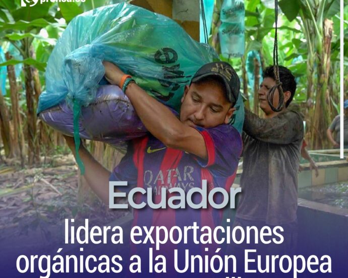 Ecuador lidera exportaciones orgánicas a la Unión Europea con USD 621 millones
