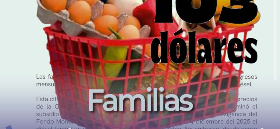 Familias ecuatorianas necesitarán USD 103 más al mes por alza del diésel