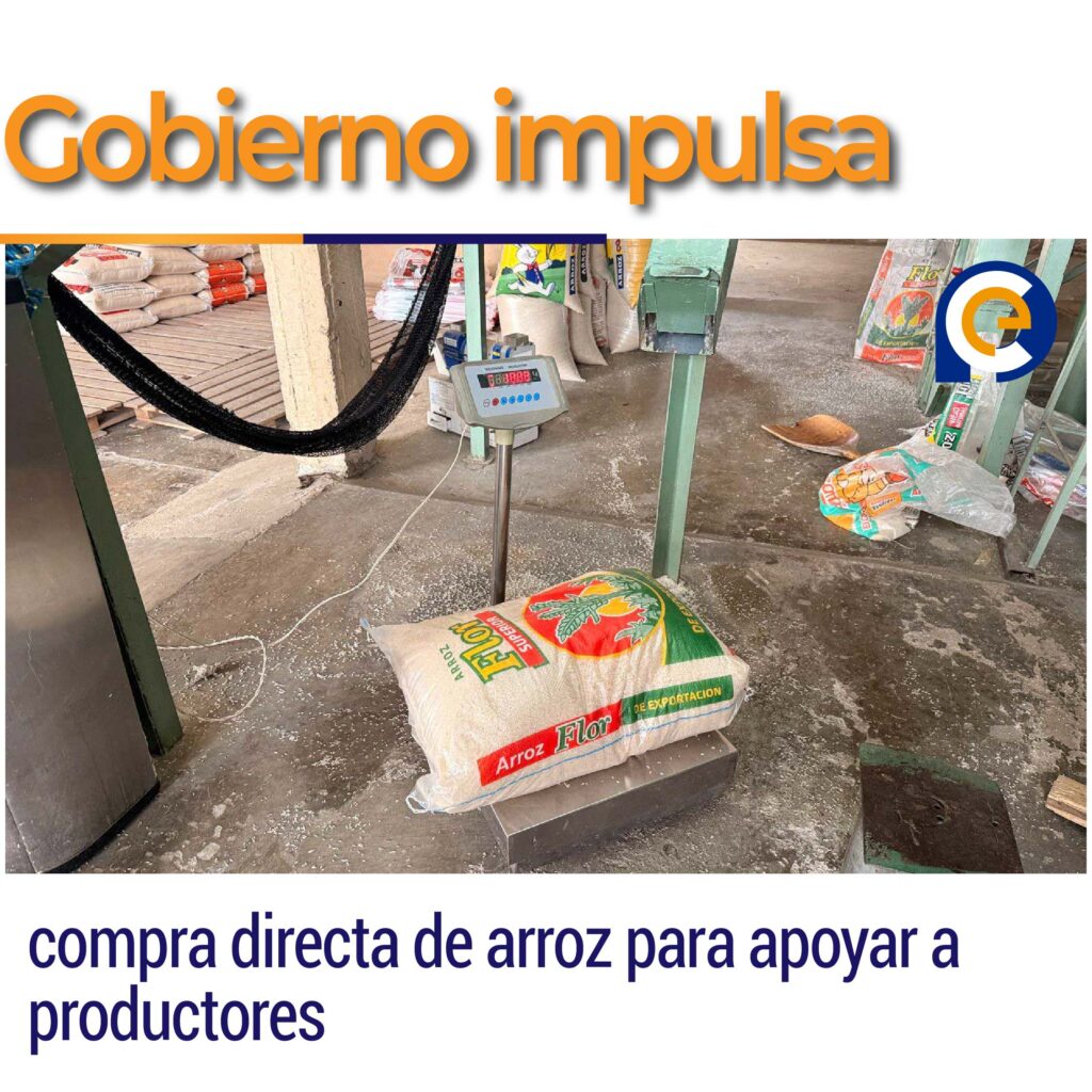 Gobierno impulsa compra directa de arroz para apoyar a productores