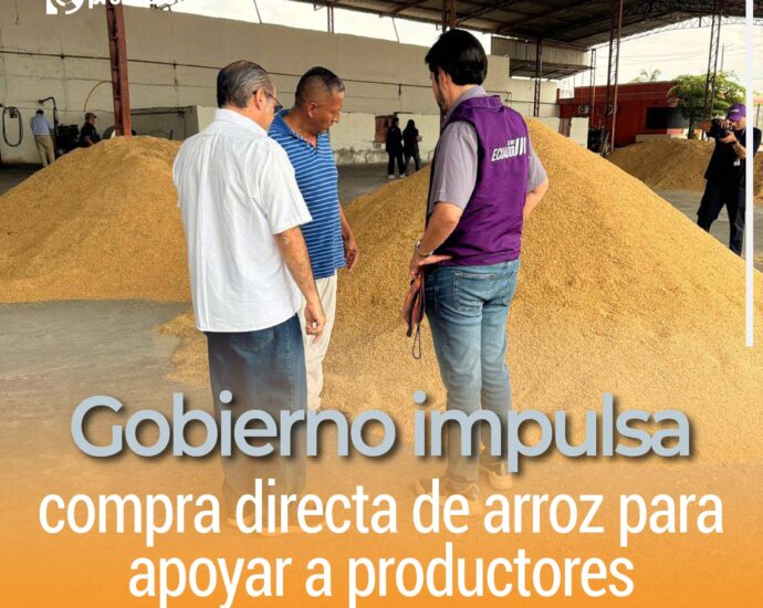 Gobierno impulsa compra directa de arroz para apoyar a productores