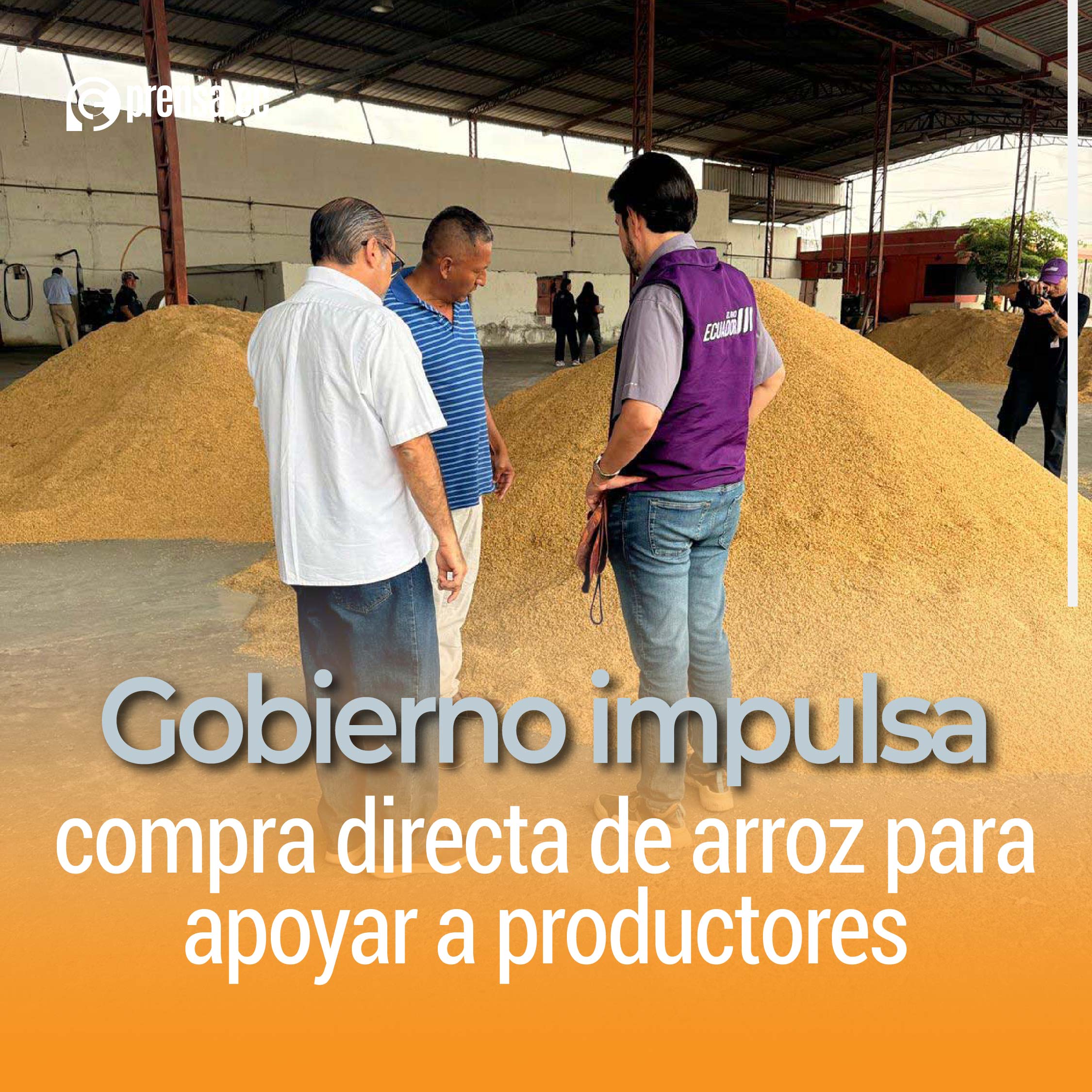 Gobierno impulsa compra directa de arroz para apoyar a productores
