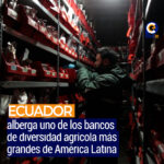 Ecuador resguarda 29.000 muestras vegetales en uno de los bancos de semillas más grandes de la región
