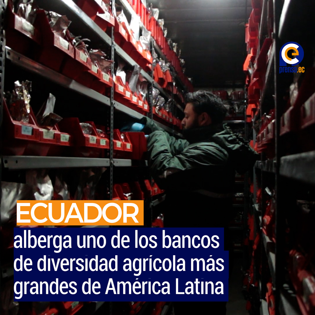 Ecuador resguarda 29.000 muestras vegetales en uno de los bancos de semillas más grandes de la región