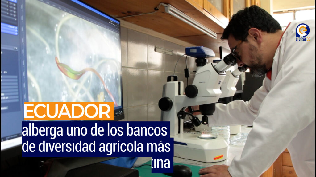 Ecuador resguarda 29.000 muestras vegetales en uno de los bancos de semillas más grandes de la región
