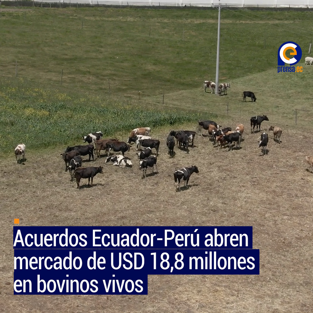 Ecuador y Perú firman acuerdos para impulsar comercio agropecuario bilateral