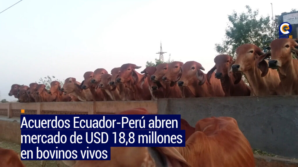 Ecuador y Perú firman acuerdos para impulsar comercio agropecuario bilateral