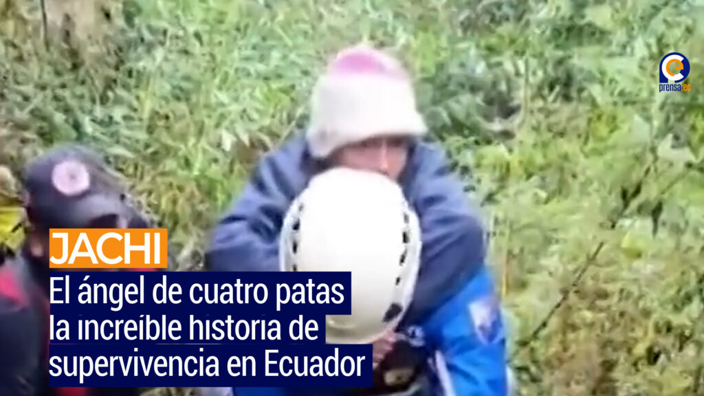 Jachi, el perro que salvó a Lucas: el milagro del cerro Puñay