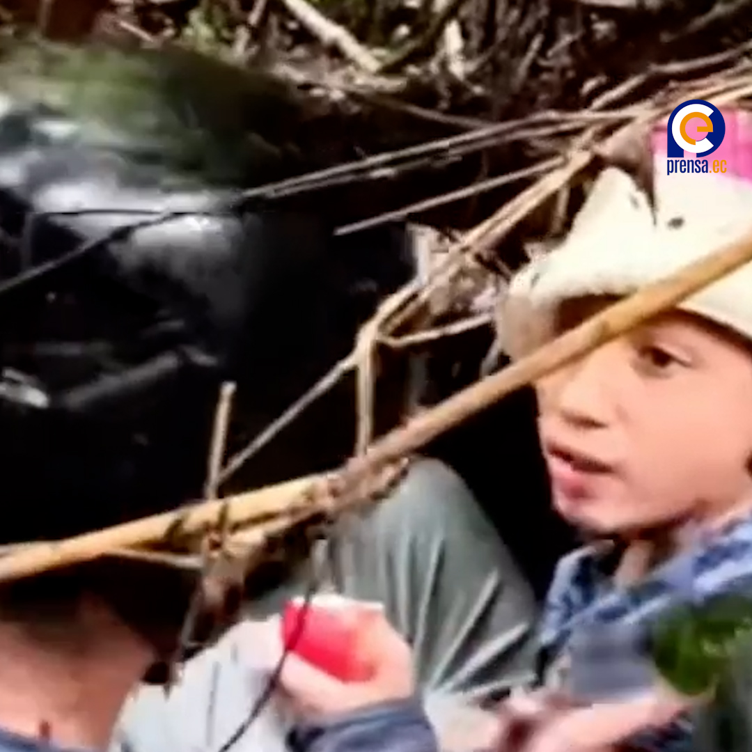 Jachi, el perro que salvó a Lucas: el milagro del cerro Puñay