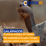 Tortugas gigantes regresan a Floreana tras 180 años de ausencia